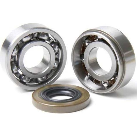 Roulement + joint spi vilebrequin pour tronçonneuse Stihl MS362 (1/2)