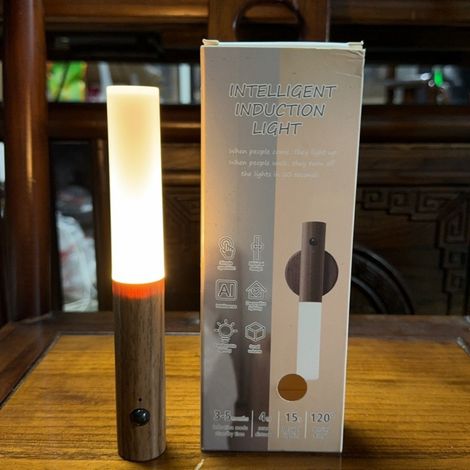 Lot de 2 Lampes Veilleuse à Détection de Mouvement LED Rechargeable, Lampe Murale Acrylique Design Minimaliste pour Couloir, Escalier (1/3)