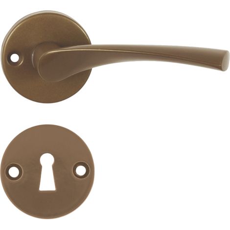 DOMINO Poignée de porte EVA-R F4 BB Poignée avec rosace BB pour clé