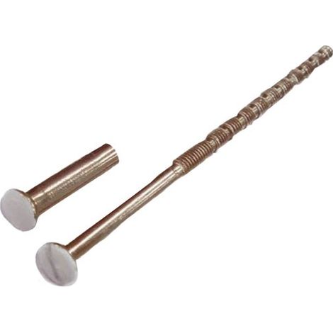 ALPERTEC - Vis relieuse blanc prédécoupée 4x90mm +douilles 4x22mm x2