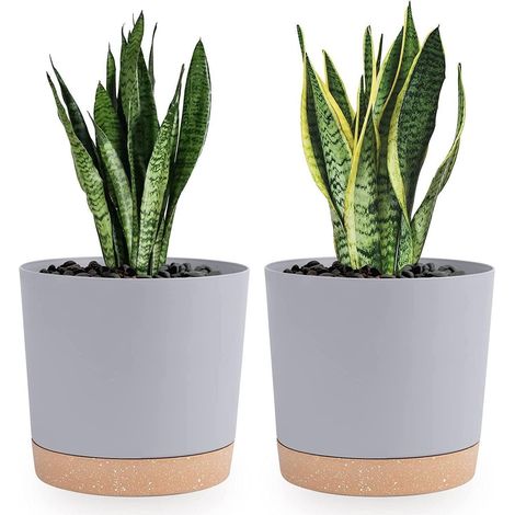 Lot de 2 pots de fleurs 20,5 cm gris clair avec soucoupe amovible pour intérieur et extérieur (1/5)