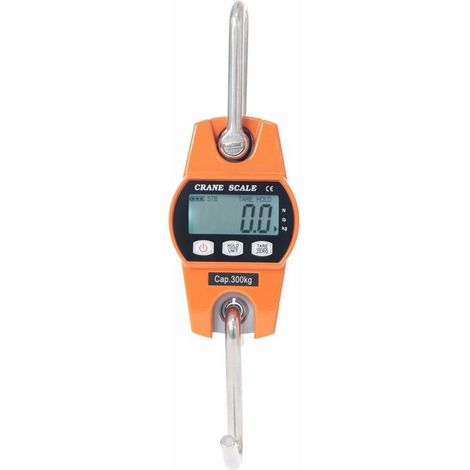 royaluxe -Peson Electronique 300kg Balance Crochet Suspendu Dynamomètre LCD Crochet Pes Industrielle Pèse Poids 300kg/600lbs Ponts roulants pour charges lourdes (1/5)