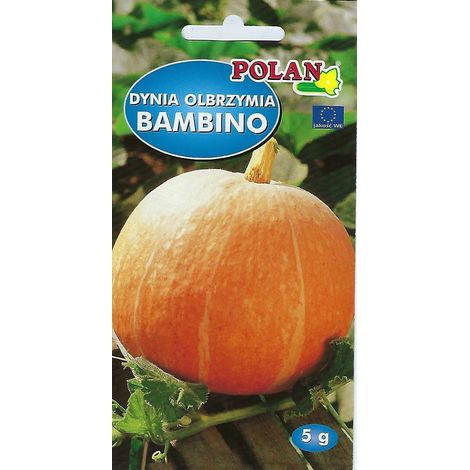 Semi di platinet, zucca gigante bambino, cucurbita maxima bambino, semi 5 g