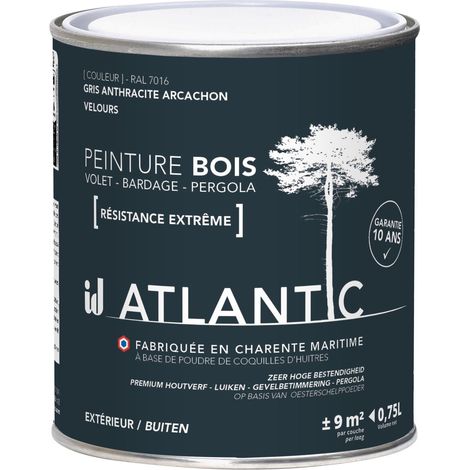 Peinture bois extérieurs - RAL 7016 Gris anthracite Arcachon - 750ML - ATLANTIC (1/3)