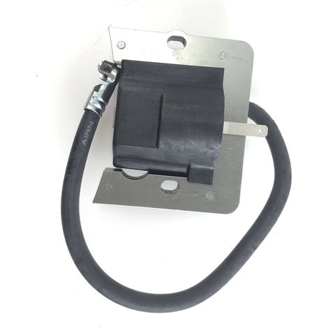 Bobina accensione ASPERA per motori OHV110 180 OV 358EA 490EA 018615 (1/4)
