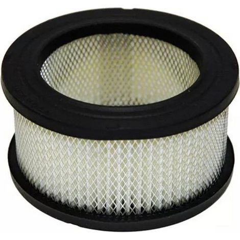Tecumseh 31925 Luftfilter Kompatibel mit KOHLER 231847S, JOHN DEERE AM-30800 Luftfilter für Kleinmotoren Geeignet für Rasenmäher, Generatoren und Baumaschinen
