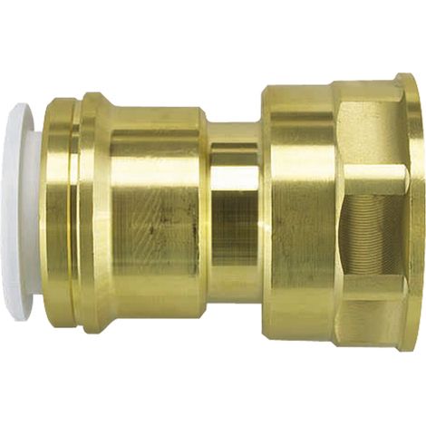 John Guest Speedfit Brass Cylinder Adaptor 22 x 1" Female