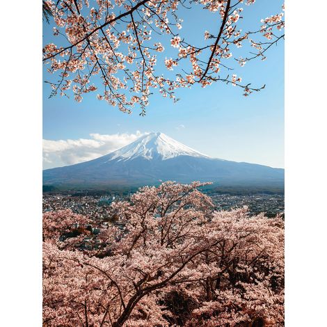 Papier peint panoramique nature montagne mont Fuji | Tapisserie panoramique floral rose et bleu | Papier peint panoramique paysage ciel japon chambre - 192 X 260 cm (4 pièces) (1/2)