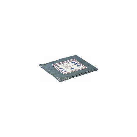 Telo protettivo 5 x 8 m OUTIFRANCE