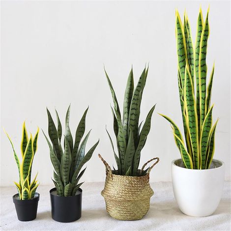 Realistische Dekoration für den Innen- und Außenbereich, künstliche Sansevieria im Topf, tropische Kunstpflanze, für Zuhause, Büro, Wohnzimmer, Garten, Höhe 70 cm, gelb, Sansevieria (gelb) (1/5)