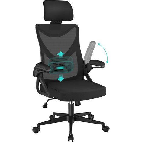 Chaise de Bureau Ergonomique Accoudoirs Relevables Noir (1/5)