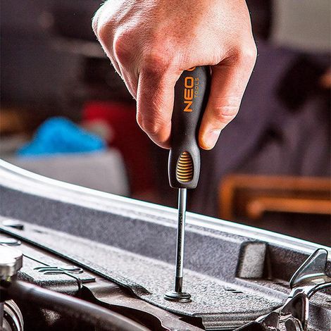 Neo Set di cacciaviti ergonomici in acciaio S2 magnetici