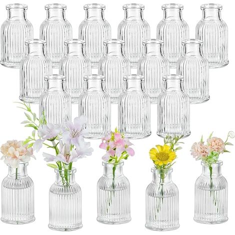Petit Vase en Verre pour Mariage : Mini à Fleurs Centre De Table Décoration Salon - Vases Décoratifs Transparents Plantes Fleuries Amaryllis Rose (1/5)