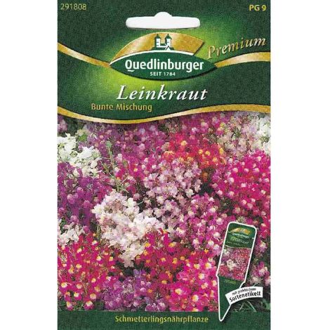 Quedlinburger Leinkraut Bunte Mischung - Blumensamen (1/2)