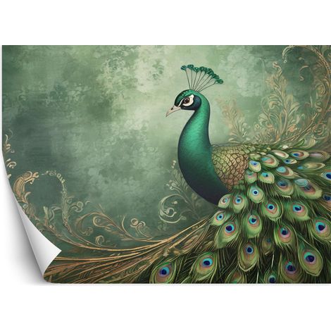 Fototapete Pfau Tiere Vogel 150x105 cm (1/5)