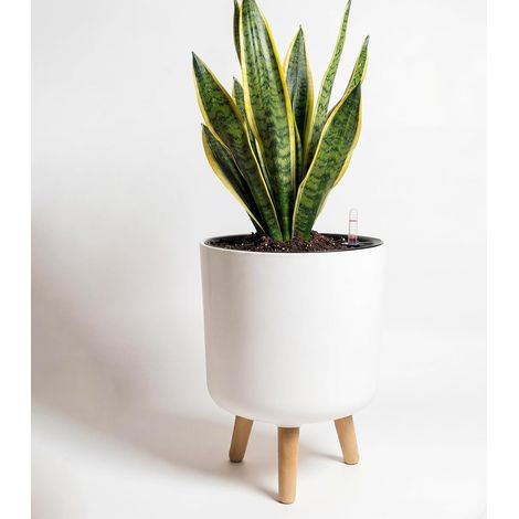 Pots de Fleurs d'intérieur avec Support de Plantes 24,4 cm à arrosage Automatique avec Pieds en Bois Amovibles et indicateur de Niveau d'eau, Pot de Fleurs Moderne avec Pot intérieur (1/5)