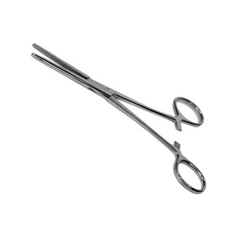 Pince clamps inox