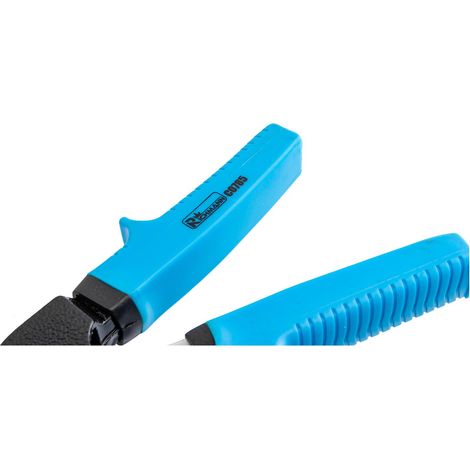 Pinces Richmann C0785 170 mm