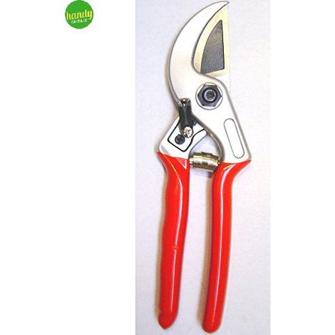 Forbici professionale lama battente 21 cm