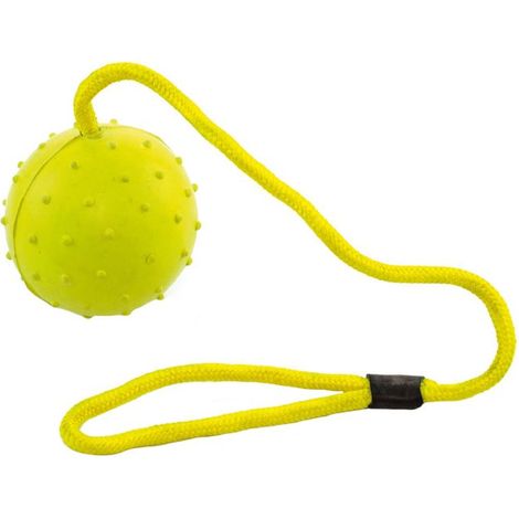 Gioco palla in gomma con corda 8.5 cm per cani