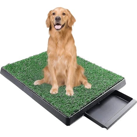 Toilettes pour chiens, plateau amovible, design de gazon réaliste, vert (1/2)