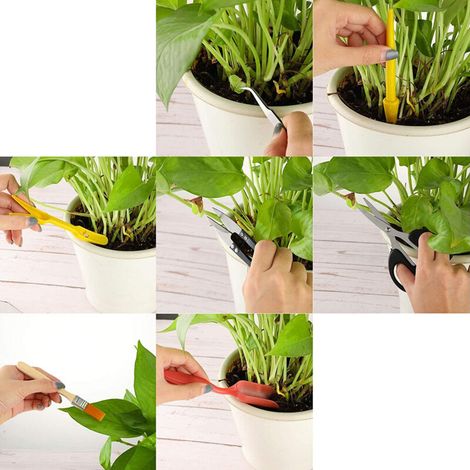Ensemble de 13 outils jardinage pour succulentes, cactus et bonsai - Pince, cisaille, transplantage - Boîte incluse (1/4)