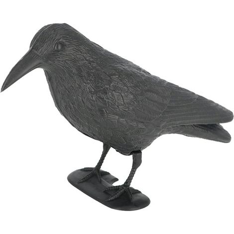 Espantapájaros para alejar a las palomas