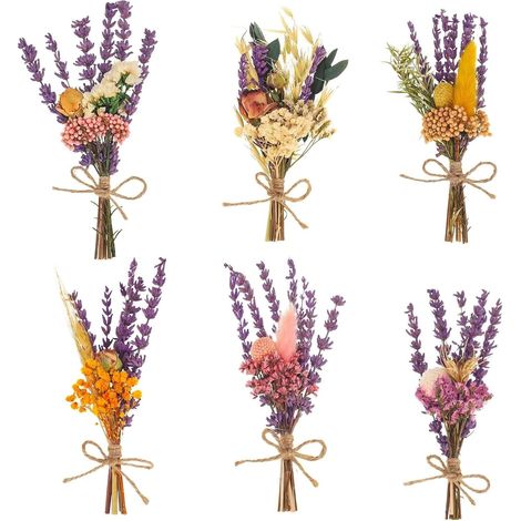 Bouquet de fleurs séchées - Fleurs séchées naturelles - Violet - Pour décoration florale (1/5)