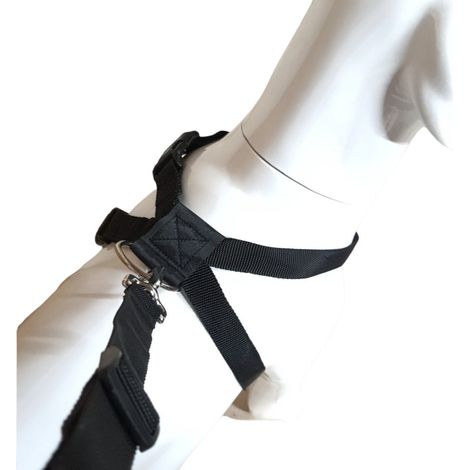Harnais de sécurité taille M pour chien en voiture - animallparadise (1/5)