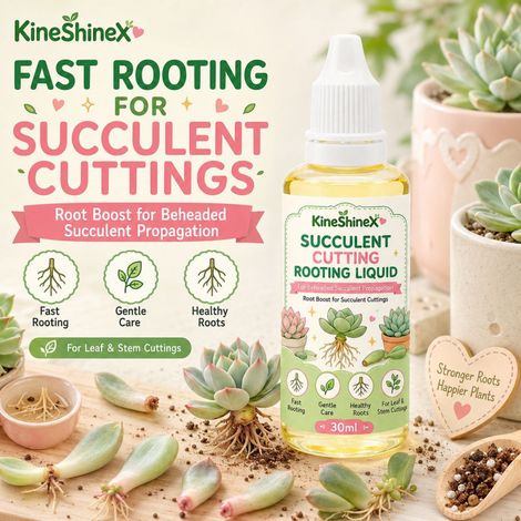 KineShineX Lösung zur Stecklings- und Bewurzelung von Sukkulenten – Speziell für die Vermehrung von Blättern und Stängeln (1/5)