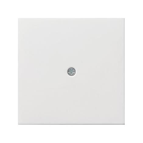 Gira Vollplatte Kabelausl reinweiß Schraubbef Fläche 0274112 glänzend (1/5)