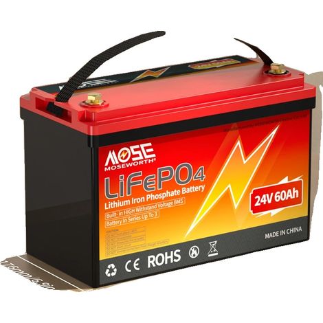 Batterie LiFePO4, Haute Durabilité, Compatibilité Polyvalente, 24V 60Ah (1/2)