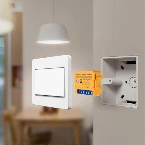 Module variateur intelligent WiFi Tuya 1CH pour éclairage LED (1/5)