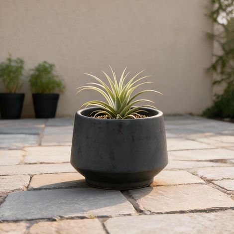 Pot de fleurs en céramique mat noir 22 cm avec trous de drainage (1/5)