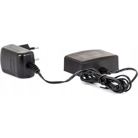 Chargeur de batterie lithium-ion 4Garden 20 V (1/4)