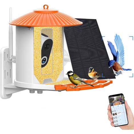 Caméra mangeoire oiseaux 1080p HD – Vision nocturne couleur – IA identification espèces – PIR anti-écureuil – IP65, Wi-Fi 2,4 GHz, solaire