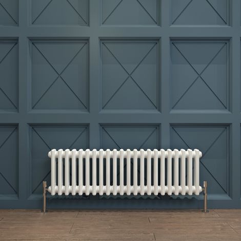 Biubiubath Traditional Cast Iron Radiator 300x1010mm 2 Column White (1/5)