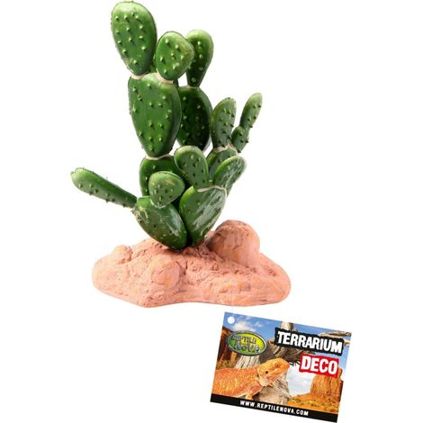 Reptile Nova Künstliche Terrarienpflanze, Feigenkaktus, 15 cm (1/2)