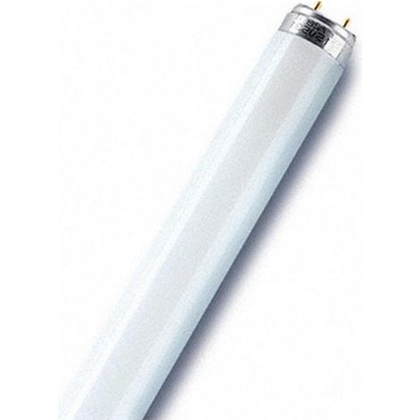 Osram LUMILUX T8 - Leuchtstofflampe, G13L 36 W/840-1 (1/5)