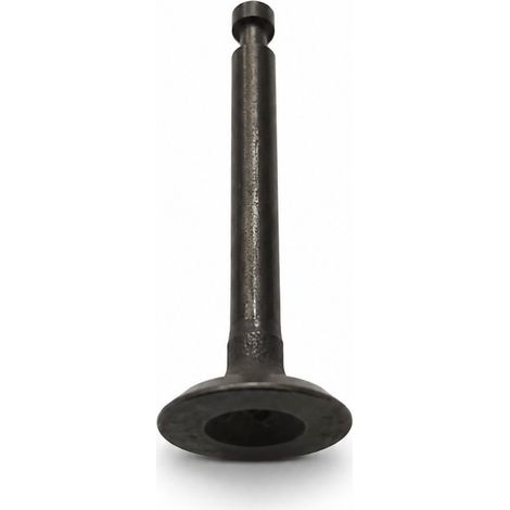 Valvula Admision compatible con Bc34 Ref 913864