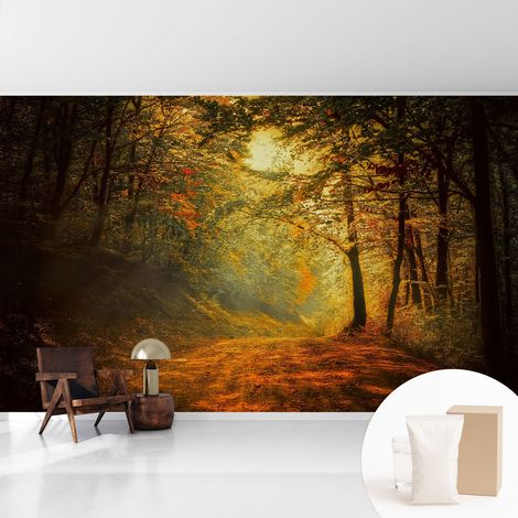 Tapete Vliestapete mit Kleber - abwaschbar - Tapete mit Motiv - trendige Wanddeko - elegant Fototapete Herbstlandschaft 416x254 cm (1/5)
