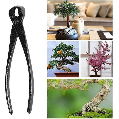 Bonsai snoeischaar en bladeren, bonsai snoeischaar, bonsai boom snoeigereedschap, 20 cm tang van mangaanstaallegering, bonsai schaar gereedschap voor tuinbeginners, tuingereedschap (1/5)