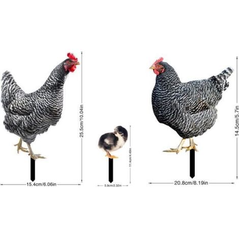 Ornement de jardin - Non spécifié - Poulet - Polyrésine - Couleurs vives - Facile à installer (1/4)