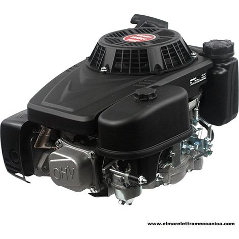 LONCIN 6,5 HP Albero 22,2 x 80 196 cc Motore 4 tempi Verticale VOLANO PESANTE (1/4)