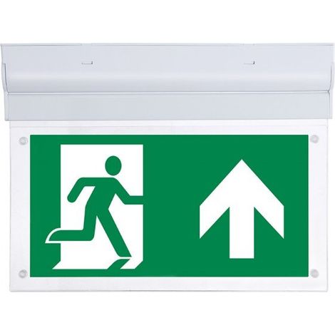 2W LED WALL SURFACE EMERGENCY EXIT LIGHT 6000K                                                           - Luce FREDDA (1/10)