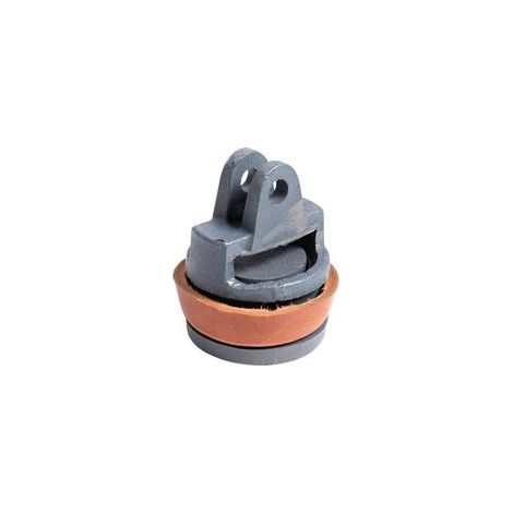 Piston pour pompe à bras Type 75 – Kit de Remplacement avec Joint en Cuir Véritable – Accessoires de pompe pour pompes à main manuelles de jardin, puits et fontaines (1/5)
