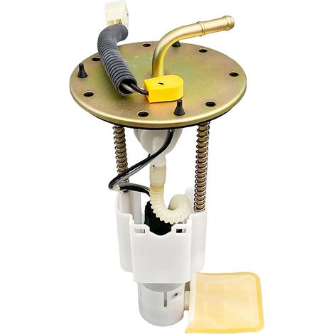 Module de pompe à carburant compatible avec Foton Lovol - 31101380601001 (1/4)