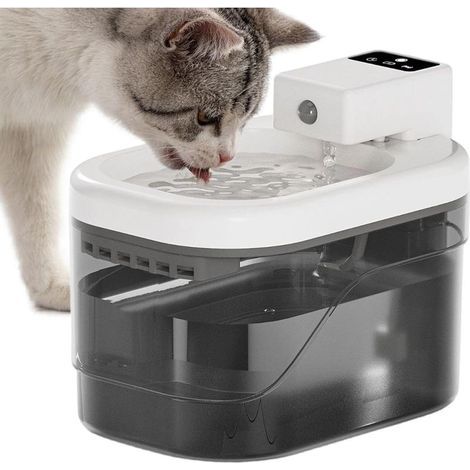 Fontaine d'eau sans fil rechargeable pour chat avec détecteur de mouvement de 2 L Distributeur d'eau automatique pour chat, pour intérieur, maison, salon, jardin, terrasse, vacances, voyage (1/5)