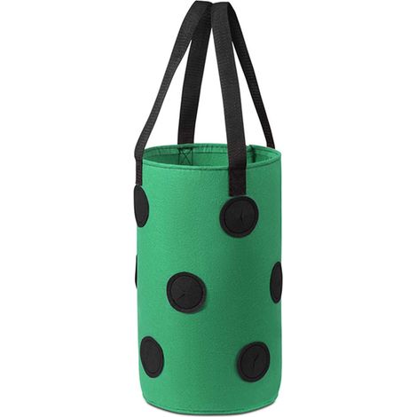 BN Sacs de Plantation de Jardin Gallons Sac de Legumes, Contenants de planteur de Fraises en Feutre Respirant, Vert Sacs à Plantes (1/5)
