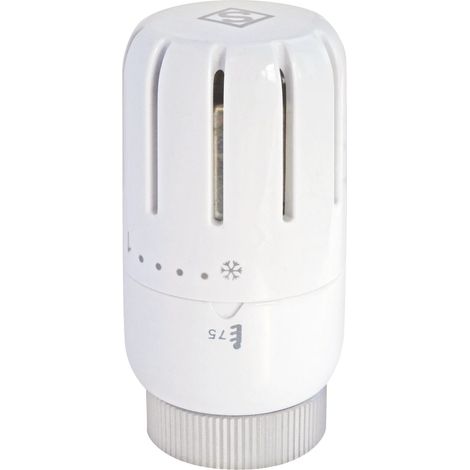 Somatherm For You – Tête thermostatique à dilatation liquide T301 – Raccord M30x1.5 – Plage de réglage 6°C à 28°C – Temps de réponse 23 min (1/2)